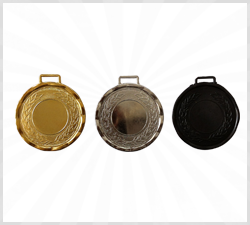Awards, Medals In Ahmedabad, Gujarat, Satellite, Bodakdev, Naranpura, Thaltej, Drive In Road